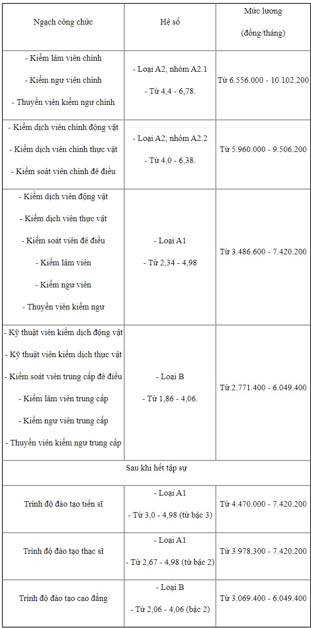 Từ tháng 10/2022, chính sách tiền lương của công chức, viên chức có điểm gì mới? - Ảnh 2.