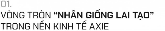 Từ vụ hack lớn nhất lịch sử crypto, cùng nhìn lại Axie Infinity - đột phá thực thụ hay chỉ là đa cấp dưới hình hài game?