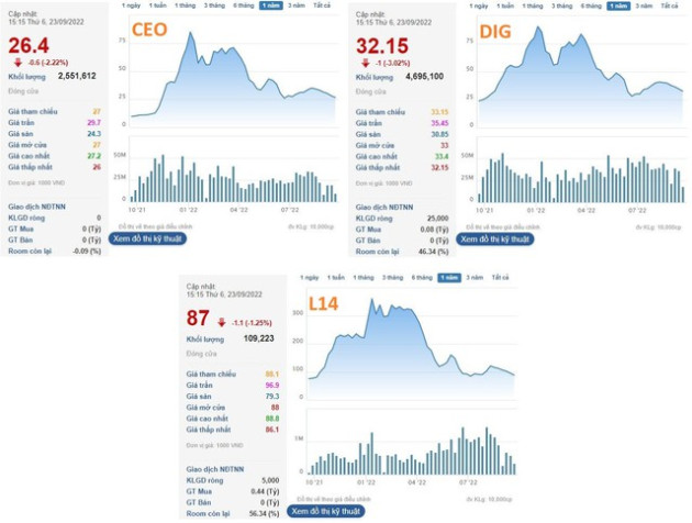 Từng làm mưa, làm gió trên thị trường, các “siêu cổ phiếu” DIG, CEO, L14 và “họ” FLC giờ ra sao? - Ảnh 1.