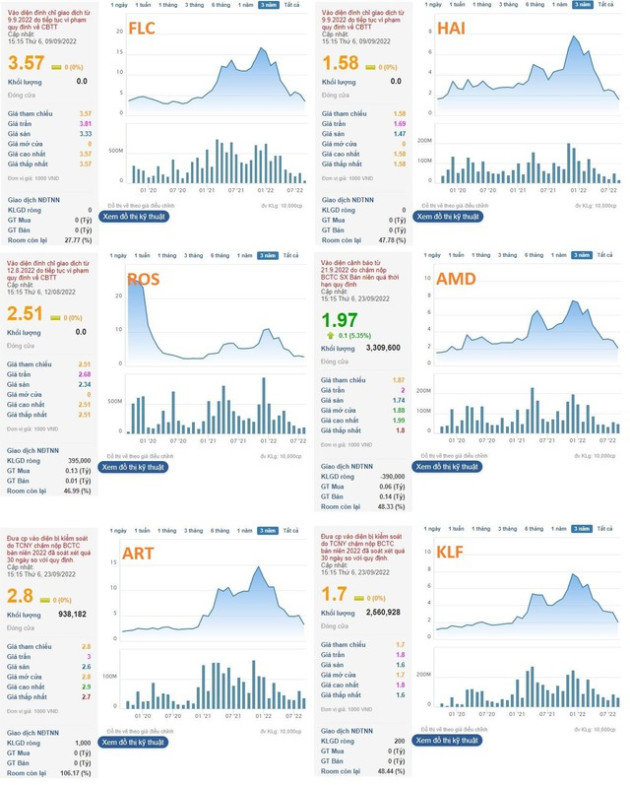 Từng làm mưa, làm gió trên thị trường, các “siêu cổ phiếu” DIG, CEO, L14 và “họ” FLC giờ ra sao? - Ảnh 2.