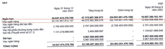 Từng thu cả trăm tỷ nhờ “đi vay – cho vay lại”, Thế giới Di động (MWG) đang chịu lỗ tài chính 86 tỷ đồng dù đã tái cấu trúc nợ - Ảnh 2.