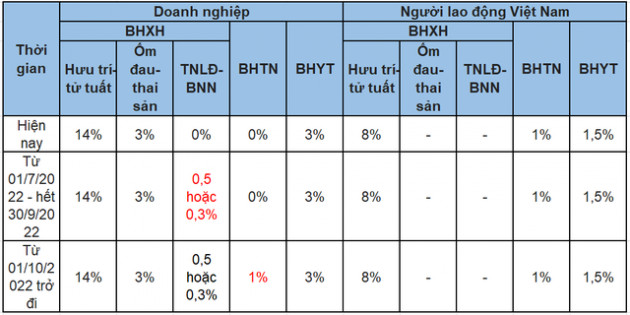 Tuổi nghỉ hưu, lương hưu của người lao động năm 2022 sẽ thay đổi như thế nào? - Ảnh 2.