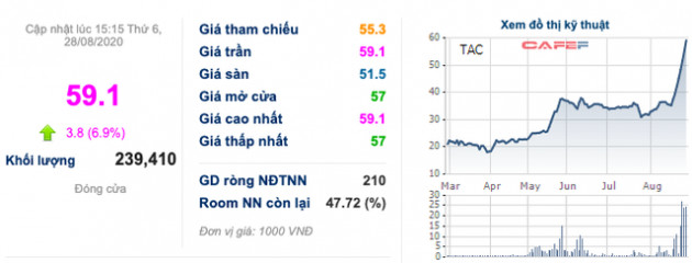 TAC liên tiếp kịch trần và tăng gấp 3 lần từ tháng 3/2020, hàng loạt cổ đông nội bộ muốn bán hết vốn với tổng khối lượng gần 47.000 cổ phiếu - Ảnh 1.