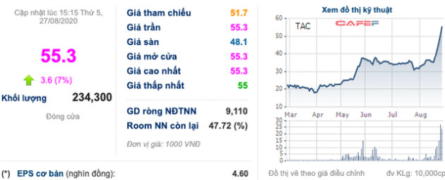 Tường An (TAC) tăng kịch trần 5 phiên trước thềm trả cổ tức đặc biệt 75%, cổ phiếu tăng gấp 3 lần từ cuối tháng Ba - Ảnh 1.