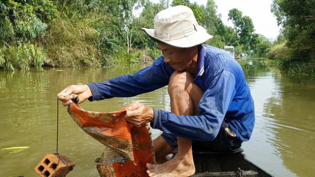 Tuyệt chiêu bắt ốc đắng kiếm tiền triệu mỗi ngày của lão nông miền Tây - Ảnh 1.