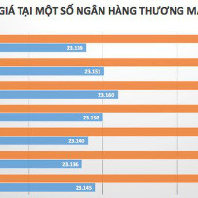 Tỷ giá USD/VND tiếp tục ổn định