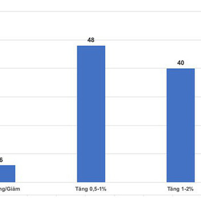 Tỷ giá USD/VND trở lại như thời cam kết?