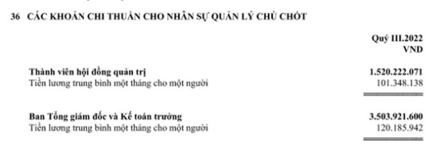 Tỷ phú Nguyễn Thị Phương Thảo hưởng lương tháng bao nhiêu từ Vietjet? - Ảnh 1.