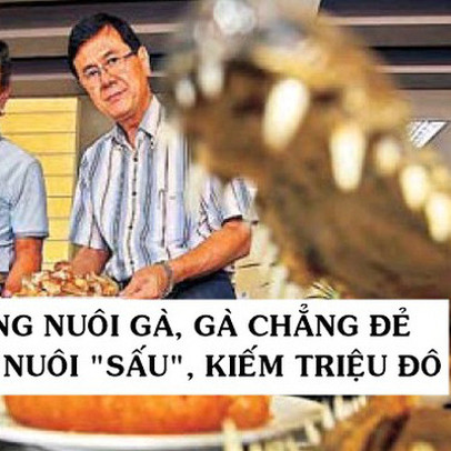 Tỷ phú nội thất kiếm hàng triệu USD mỗi năm từ… nuôi cá sấu: Ban đầu chỉ nuôi gà lấy trứng cho vui, việc này dẫn đến việc kia lại thành ‘hốt bạc’