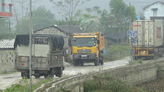 Ùn ùn lợn qua biên giới Cao Bằng - Ảnh 1.