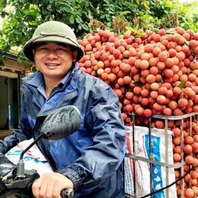 Vải thiều Lục Ngạn được bảo hộ chỉ dẫn địa lý tại Nhật Bản