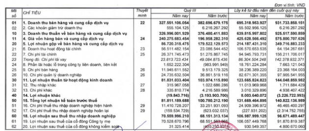 Văn Phú Invest (VPI) báo lãi 9 tháng đạt 107 tỷ đồng, mới hoàn thành 31% kế hoạch năm - Ảnh 1.