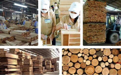 Vào CPTPP, doanh nghiệp gỗ Việt phải thay đổi tư duy kiếm tiền - Ảnh 1.