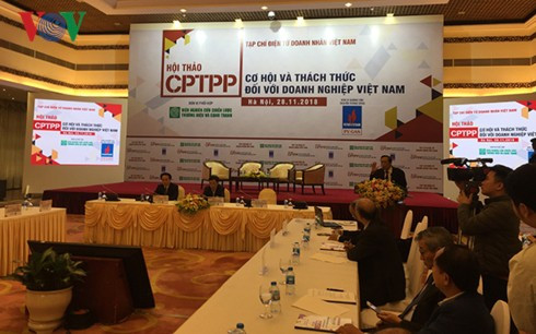 Vào CPTPP, doanh nghiệp Việt hãy “đào mỏ vàng” thị trường nội trước - Ảnh 1.