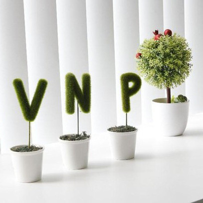 Vatgia.com, Baokim.vn, Nhanh.vn của VNP làm ăn thế nào?