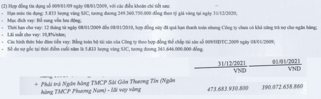 Vay 5.833 lượng vàng SJC khi giá 17,5 triệu đồng/lượng, công ty thủy sản âm đã âm vốn nghìn tỷ bị Sacombank kiện đòi nợ khi cả gốc lẫn lãi lên hơn 800 tỷ - Ảnh 2.