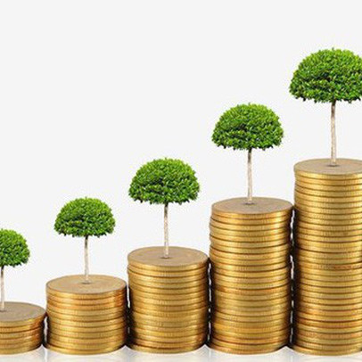VCG, VGC, PDR, FRT, HSG, CAV, MQN, THE, DS3: Thông tin giao dịch lượng lớn cổ phiếu