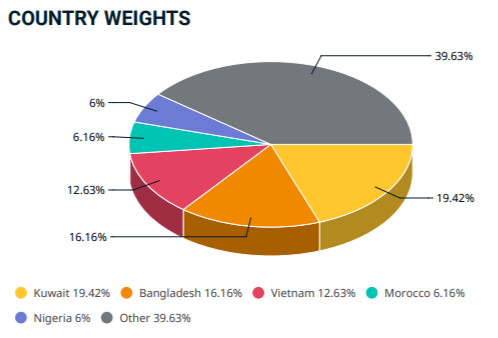 VCS và HNG lọt vào danh mục MSCI Frontier Markets Smallcap Indexes trong kỳ cơ cấu quý 2 - Ảnh 2.