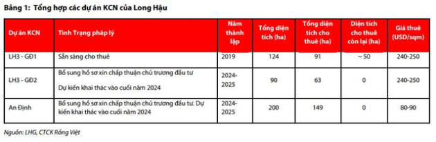 VDSC: Cổ phiếu vào diện cảnh báo, Long Hậu (LHG) đối diện rủi ro do khoản nợ phải trả cho cổ đông lớn IPC - Ảnh 1.