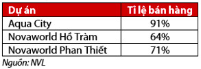 VDSC: Dòng tiền bán hàng năm 2021 của Novaland ước đạt 24.000 tỷ đồng, dự chi 13.000 tỷ mua dự án ngoài khu vực Tp.HCM - Ảnh 2.
