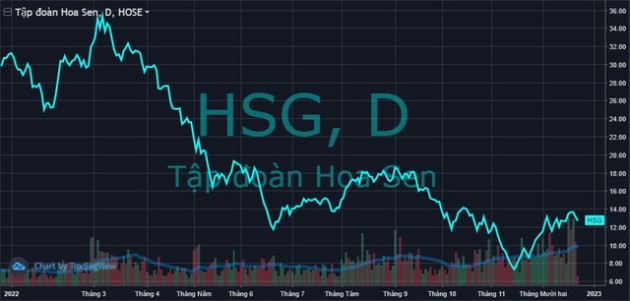 VDSC: Hoa Sen Group có thể lỗ gần nghìn tỷ quý đầu niên độ 2022-23 - Ảnh 1.