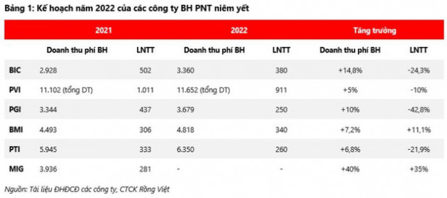 VDSC: Ngành bảo hiểm khó duy trì hiệu quả cao năm 2022, nhiều công ty bảo hiểm dè dặt với kế hoạch lợi nhuận - Ảnh 1.