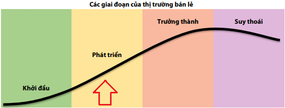 VDSC: Thương mại điện tử là quả bom hẹn giờ của đại gia bán lẻ Thế giới Di động, FPT Retail - Ảnh 1.