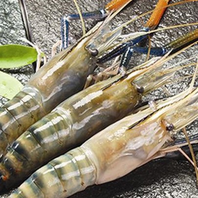 Về với chủ mới, doanh thu quý 1 của Thực phẩm Sao Ta (FMC) tăng 45% lên 34 triệu USD