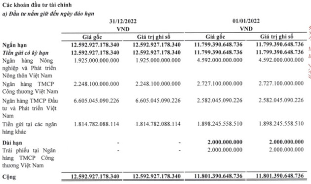 VEAM báo lãi ròng kỷ lục hơn 7.600 tỷ đồng trong năm 2022 - Ảnh 2.