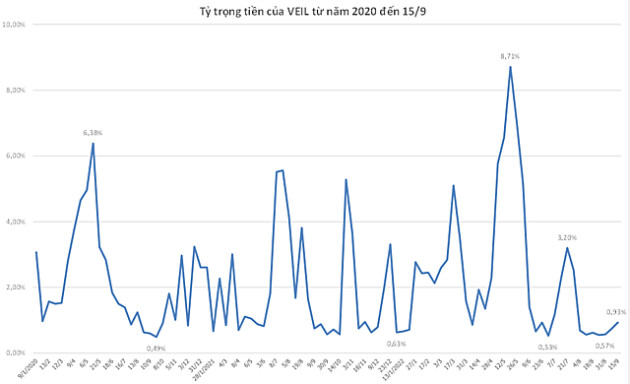 VEIL tăng tỷ trọng tiền mặt tuần thứ 3 liên tiếp, BCM vào top 10 danh mục - Ảnh 1.