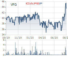 VFG tăng lên vùng đỉnh giá nhiều năm, PAN Group vẫn thông qua phương án chào mua công khai 4,8 triệu cổ phần - Ảnh 1.