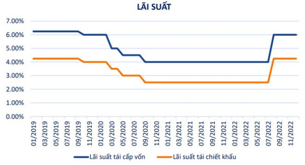 VFS: Lãi suất tiếp tục gây áp lực nửa đầu năm, VN-Index sẽ dao động trong vùng 950 - 1.250 điểm - Ảnh 1.