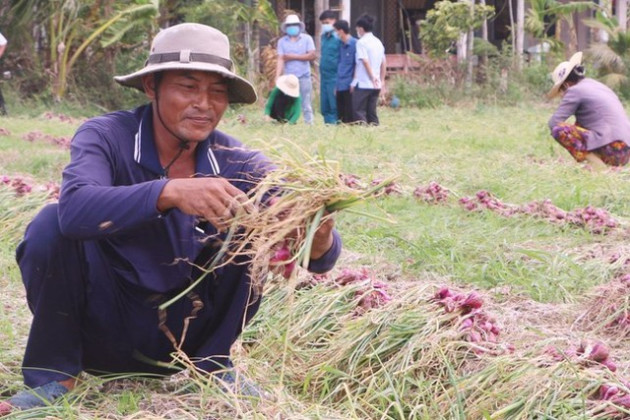 Vì sao hành tỏi ‘made in Vietnam’ thua ngay trên sân nhà? - Ảnh 2.