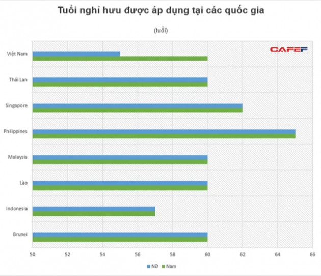 Vì sao khi già hoá dân số càng nhanh, khác biệt giữa người có lương hưu và không có lương hưu của Việt Nam càng rõ - Ảnh 1.