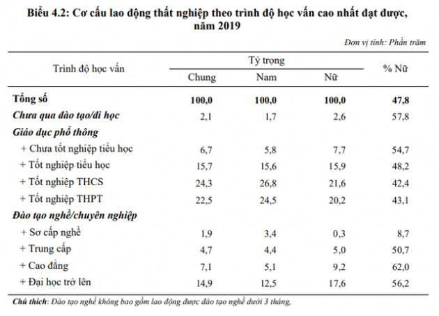 Vì sao lao động chưa đi học hoặc chỉ học sơ cấp ít thất nghiệp, còn trình độ đại học trở lên lại thất nghiệp nhiều? - Ảnh 1.