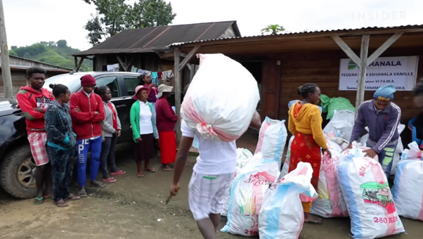 Vì sao Madagascar vẫn nghèo dù đi đầu về xuất khẩu vani - hương liệu ‘vàng xanh’ đắt hơn bạc? - Ảnh 5.