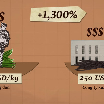 Vì sao Madagascar vẫn nghèo dù đi đầu về xuất khẩu vani - hương liệu ‘vàng xanh’ đắt hơn bạc?