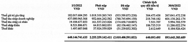 Vì sao nhiều doanh nghiệp lợi nhuận giảm nhưng nộp thuế hàng chục nghìn tỷ đồng? - Ảnh 6.