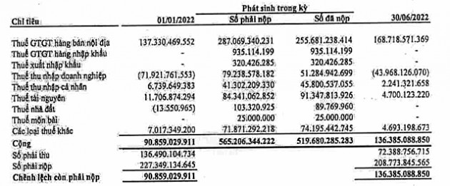 Vì sao nhiều doanh nghiệp lợi nhuận giảm nhưng nộp thuế hàng chục nghìn tỷ đồng? - Ảnh 7.