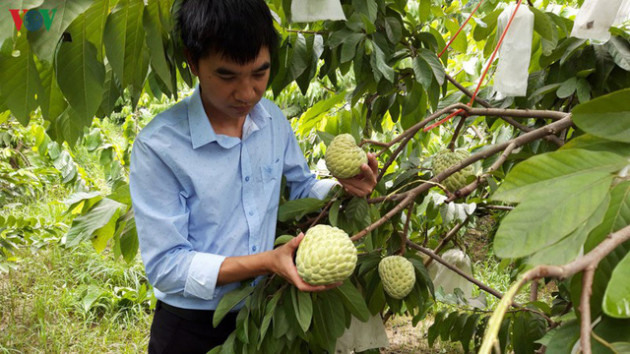 Vì sao nhiều hàng Việt Nam xuất khẩu bị gây khó? - Ảnh 1.