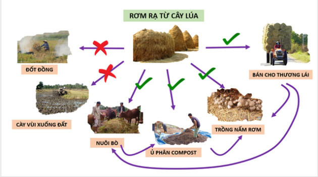 Vì sao nông dân Đồng bằng sông Cửu Long đang ‘nghèo’ dần? - Ảnh 2.