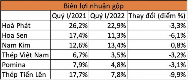 Vì sao tỷ phú Trần Đình Long tự tin khẳng định Hoà Phát sẽ là người chịu thiệt hại cuối cùng nếu ngành thép đi xuống? - Ảnh 3.