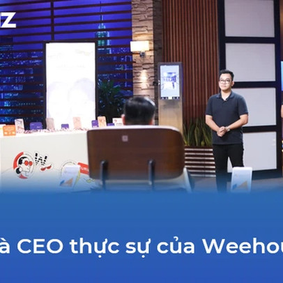 Vì sao Vua Cua, Coolmate đều đích thân CEO gọi vốn trên Shark Tank, còn Weehours lại không?