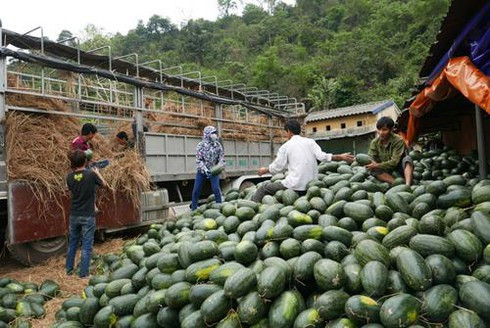 Vì sao xuất khẩu của Việt Nam sang Trung Quốc ngày càng giảm?