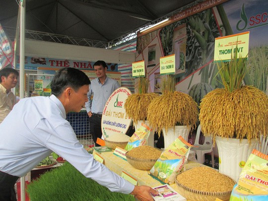 Vì sao xuất khẩu gạo sang Trung Quốc đột ngột sụt giảm?