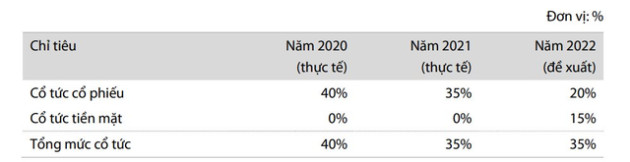 VIB dự kiến chia cổ tức tiền mặt tỷ lệ 15%, thưởng cổ phiếu 20% cho cổ đông trong năm nay - Ảnh 2.