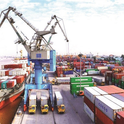 Viconship (VSC) tạm ứng tiếp cổ tức đợt 2/2019 bằng tiền tỷ lệ 12%