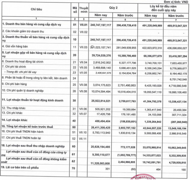 Vidon Corp (VID) báo lãi 6 tháng đầu năm tăng trưởng gấp 3,3 lần cùng kỳ 2020 - Ảnh 1.