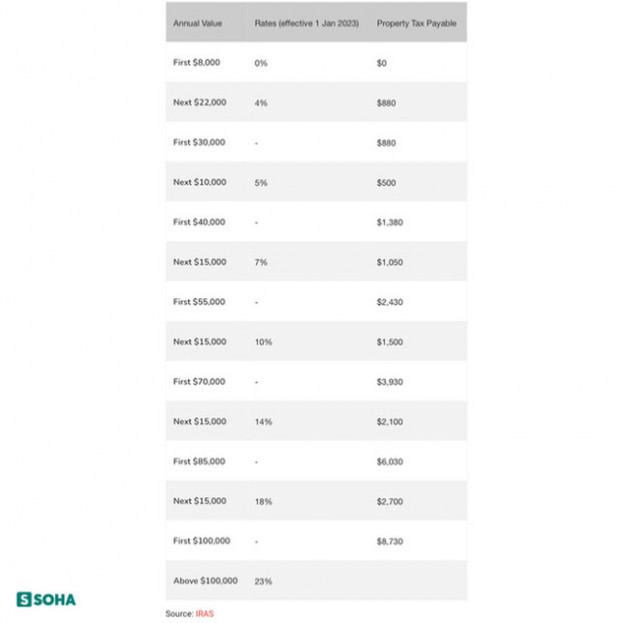  Việt Nam chưa đánh thuế nhà đất nhưng nước láng giềng đã tăng loại thuế này - Ảnh 2.