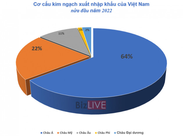 Việt Nam nhập siêu lớn chỉ trong 15 ngày đầu tháng 7 - Ảnh 1.